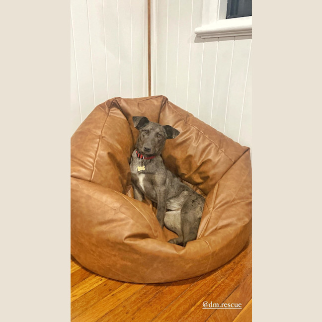Photo of Sadie