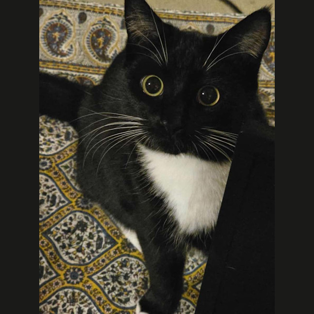 Photo of Lotus & Sage