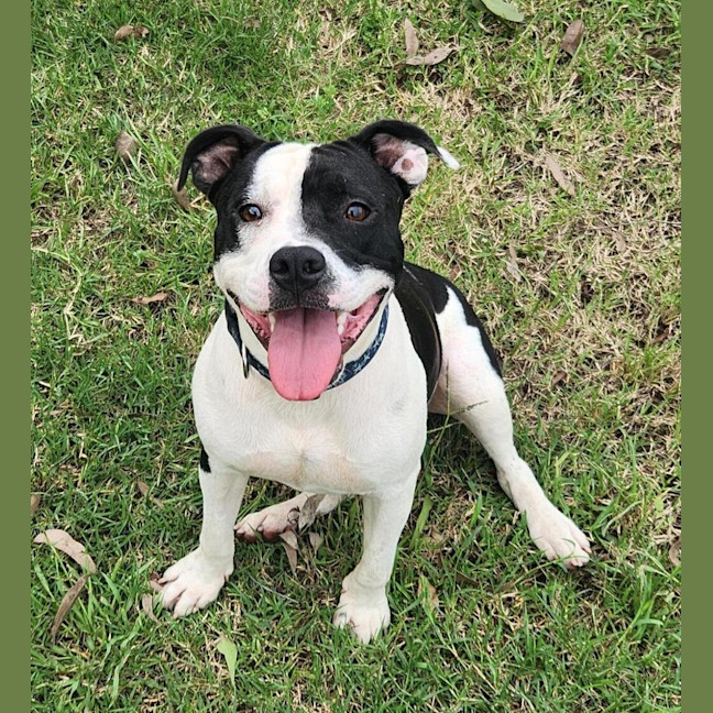 Photo of Murphy
