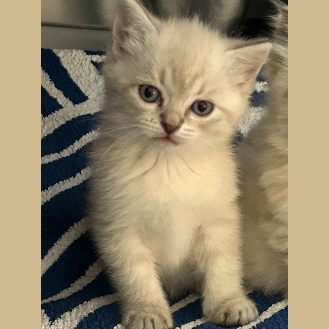 Photo of Miss Arthur