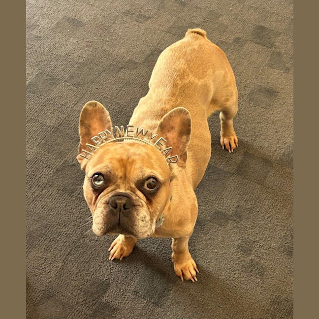 Photo of Luna Wensleydale