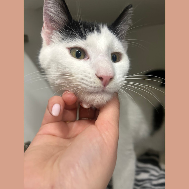 Photo of Wednesday
