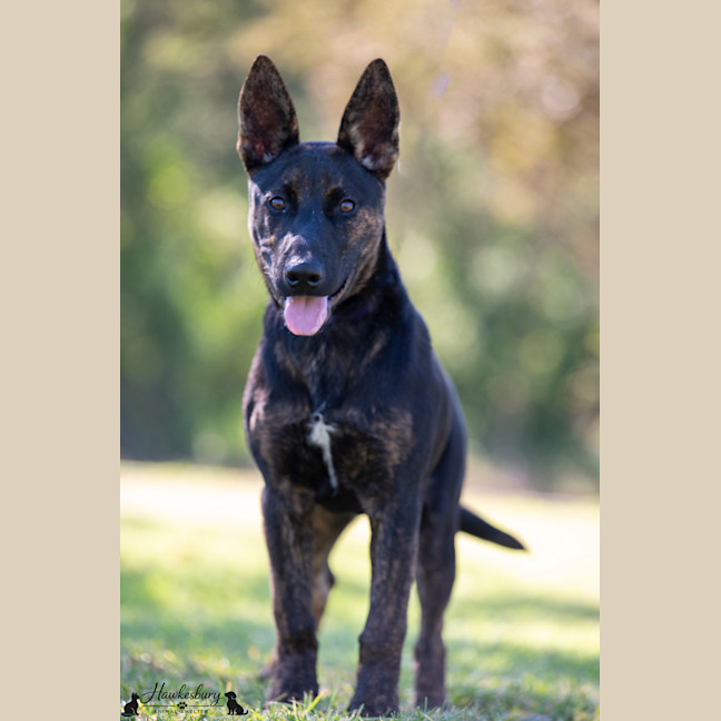 Photo of Tracker