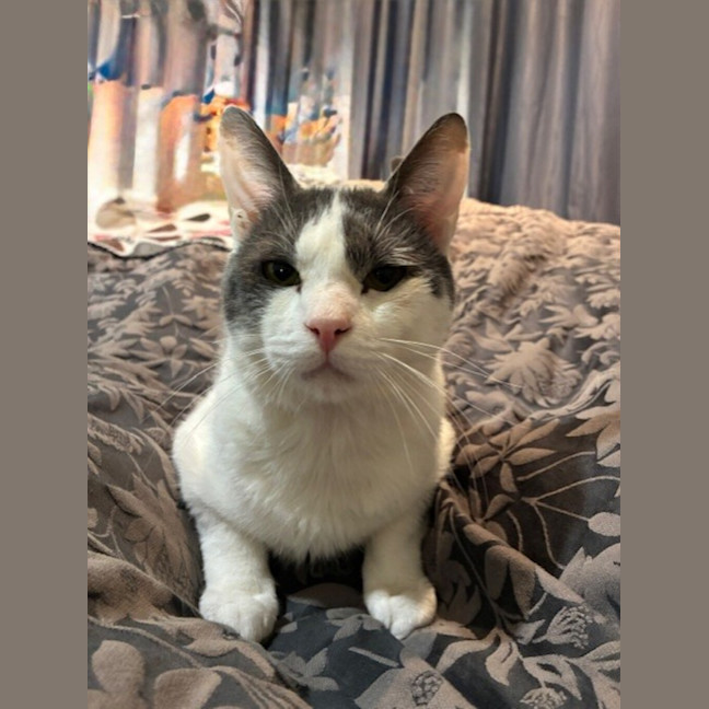 Photo of Fred