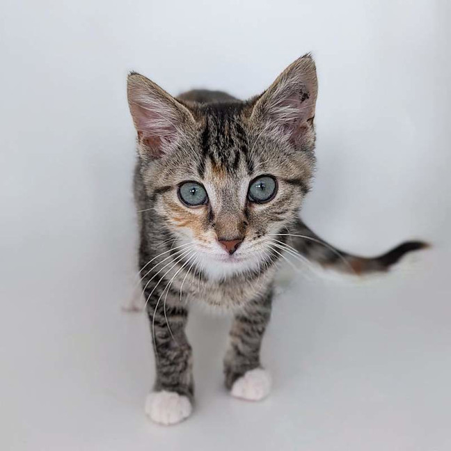 Photo of Cindy