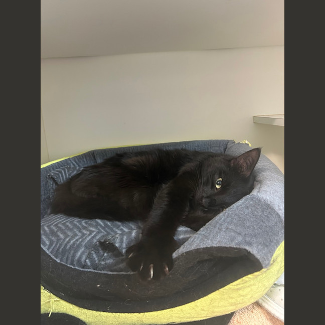 Photo of Count Scratchula