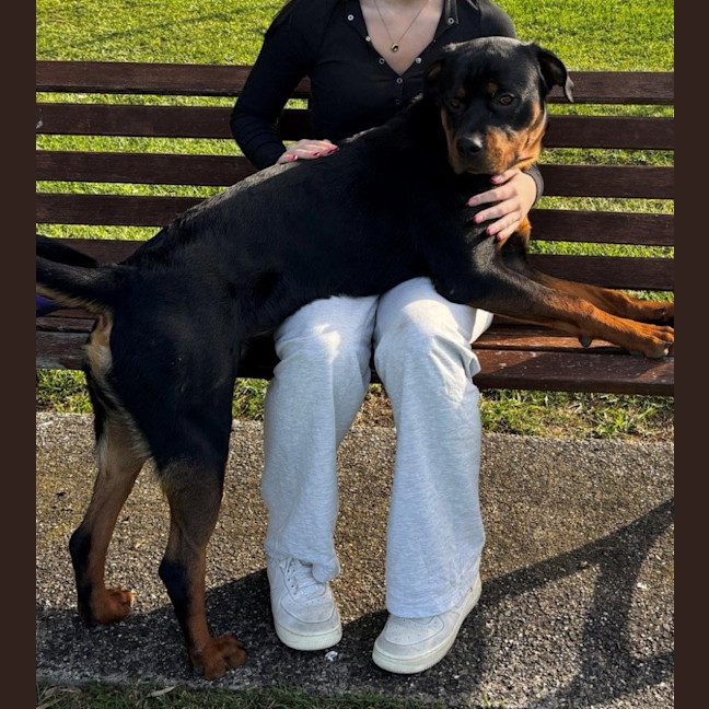 Photo of Lucky Newhaven