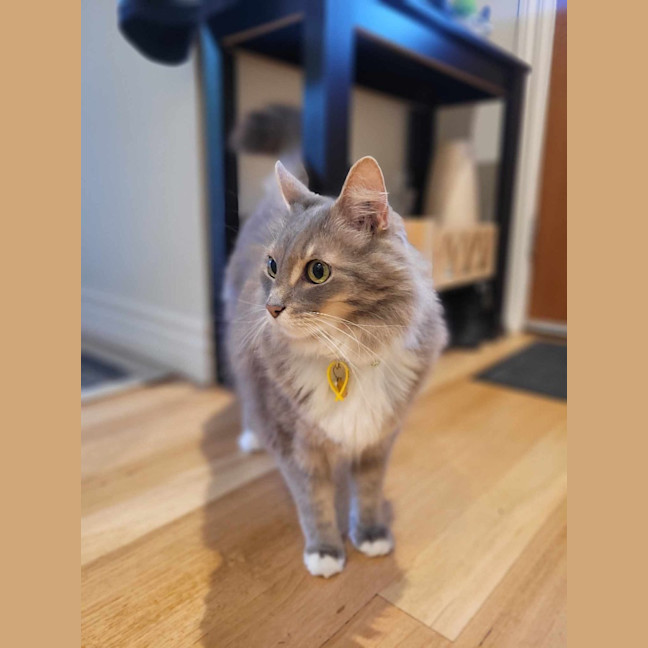 Photo of Klaus