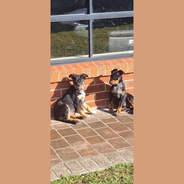 Photo of Narla