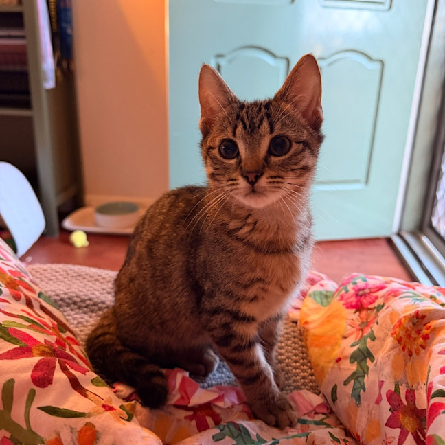Photo of Hans