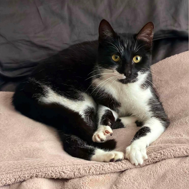 Photo of Pawla