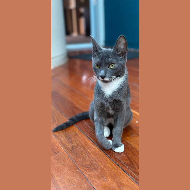 Photo of Lilly