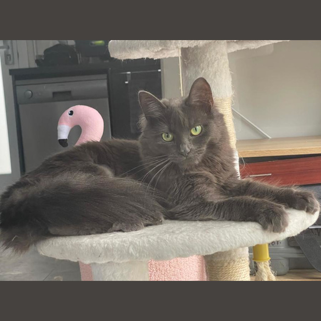 Photo of Hazel