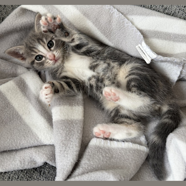 Photo of Wanaka 🌷🌷🌷