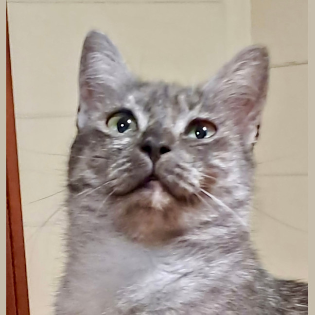 Photo of Truffles