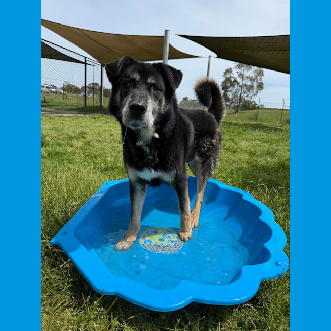 Photo of Zeus 