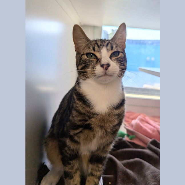 Photo of Finley