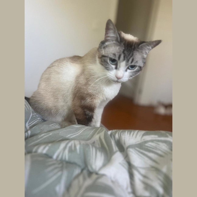 Photo of Lucy 