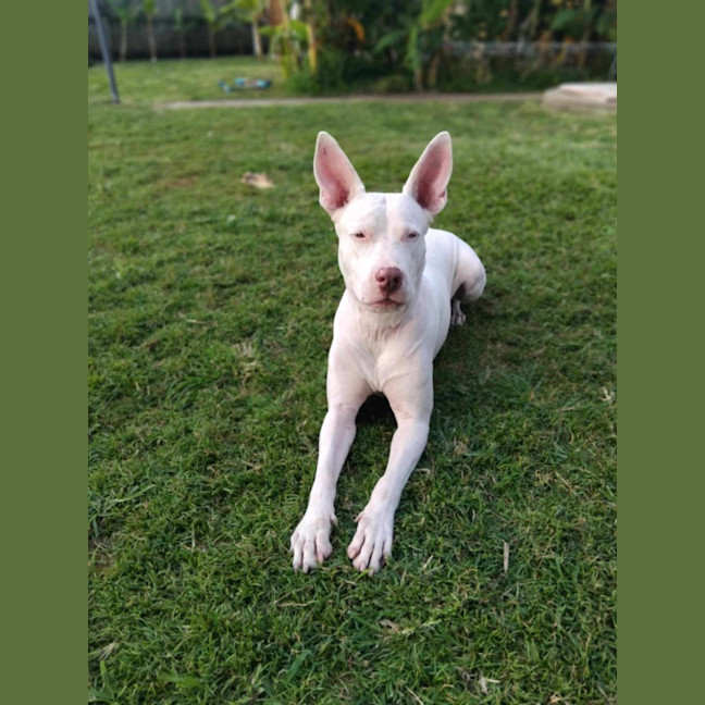Photo of Wednesday