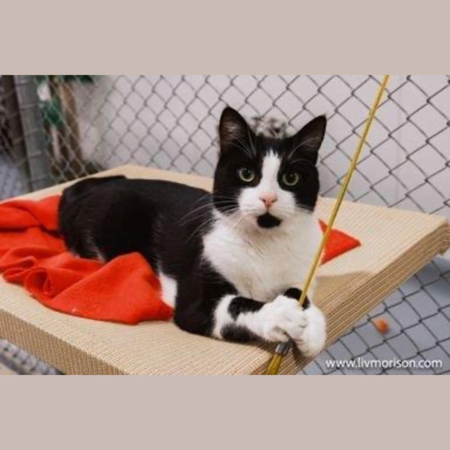 Photo of Jasper Picton