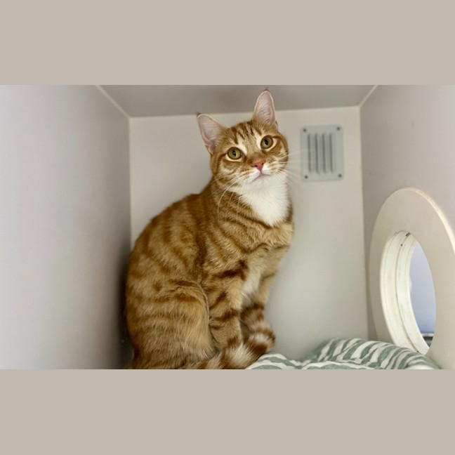 Photo of Philbert