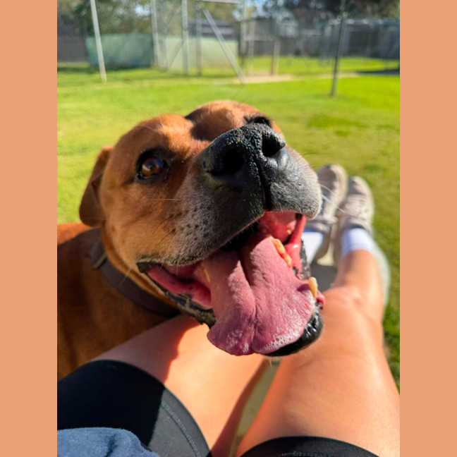 Photo of Tyson