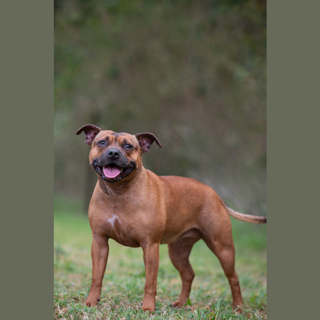 Photo of Azula