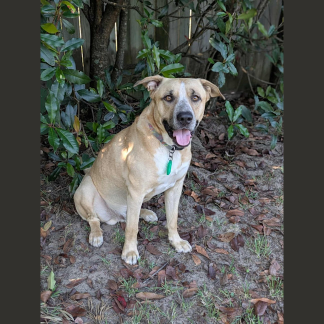 Photo of Barney