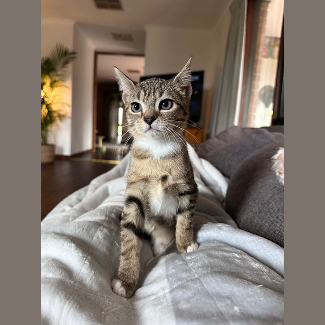 Photo of Yoshi