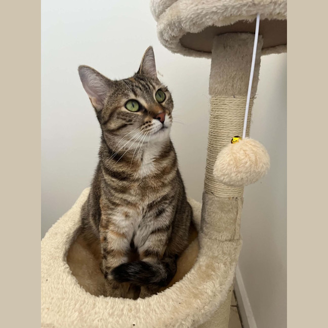 Photo of Jazz