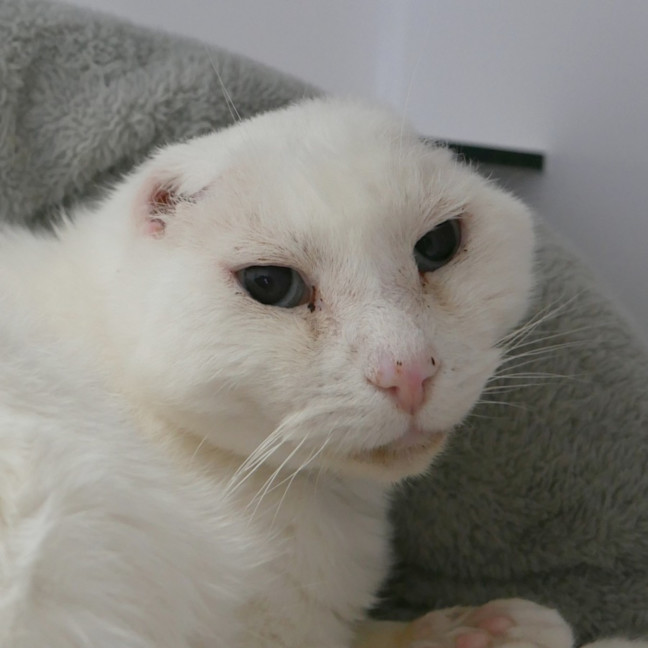 Photo of Edward Sta013971