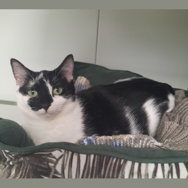 Photo of Annie