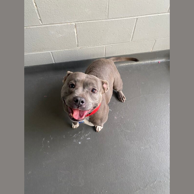 Photo of Bean Nee Stella