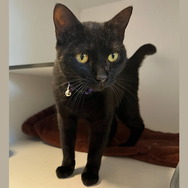 Photo of Olivia