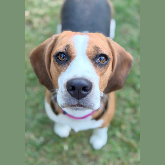 Photo of Kiki