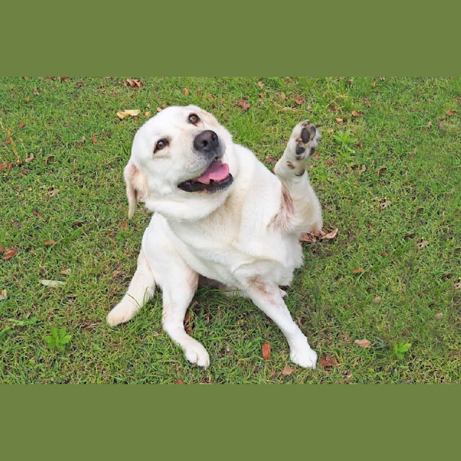 Photo of Heather Now Haven