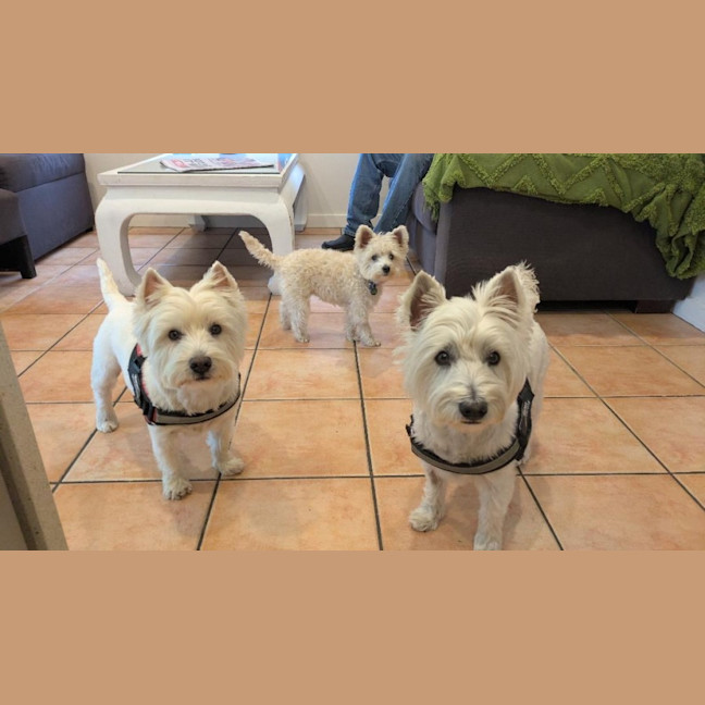 Photo of Lily Peggotty