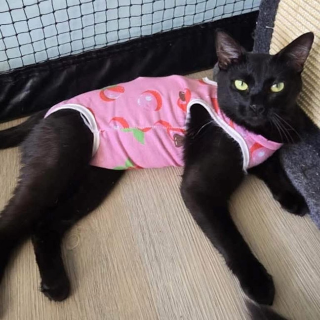 Photo of 13616   Ocean