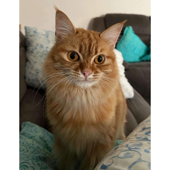 Photo of 322   Brooklyn