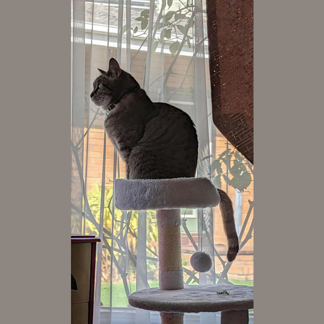 Photo of Boris