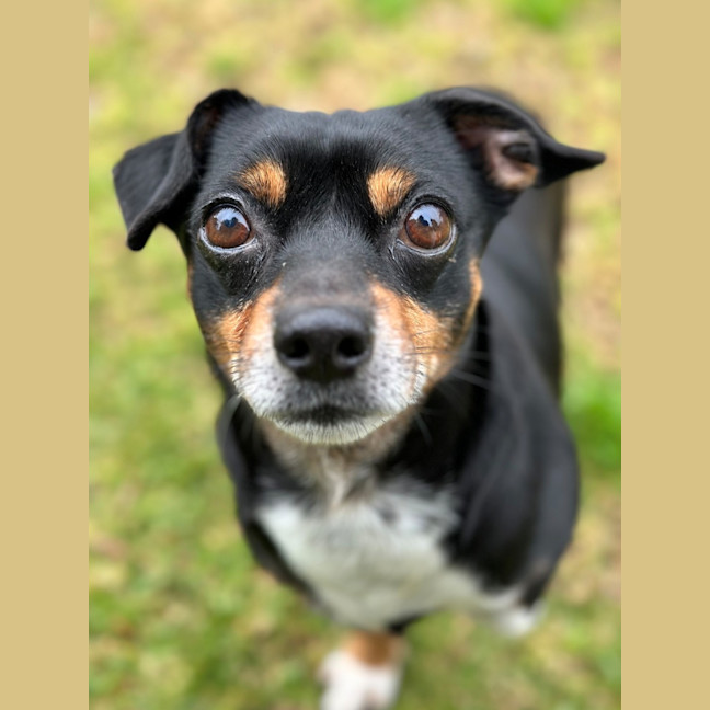 Photo of Mako & Buddy 