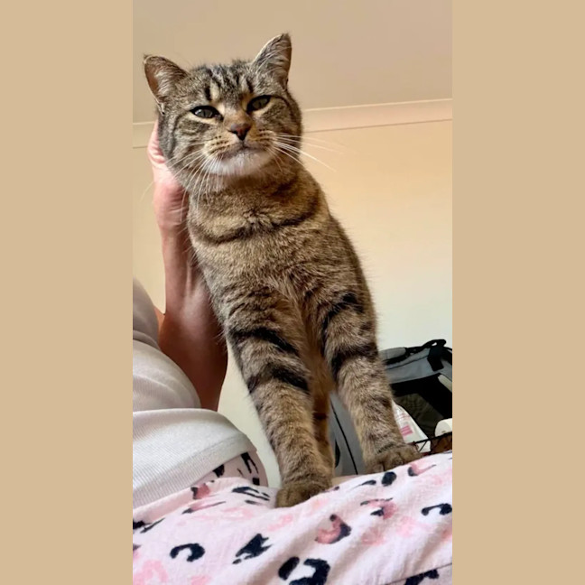 Photo of Matilda