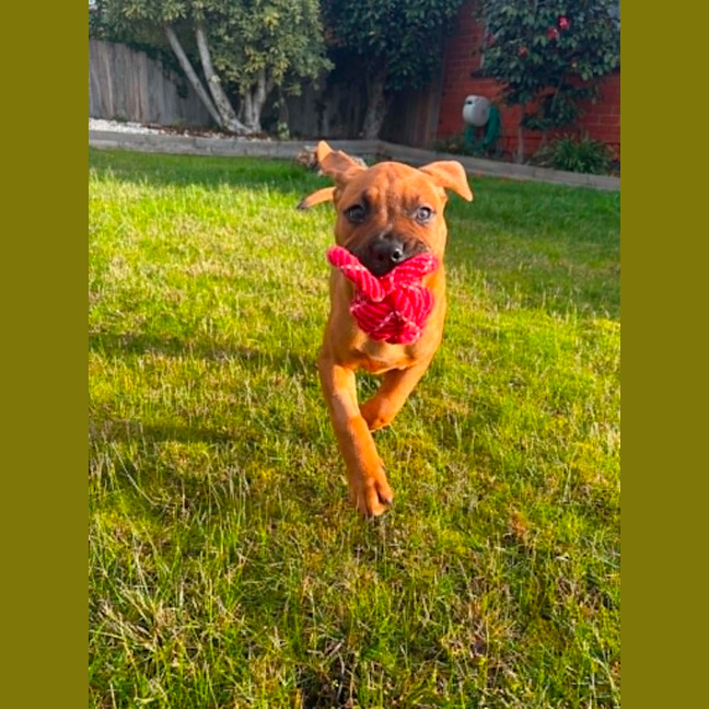Photo of Belle