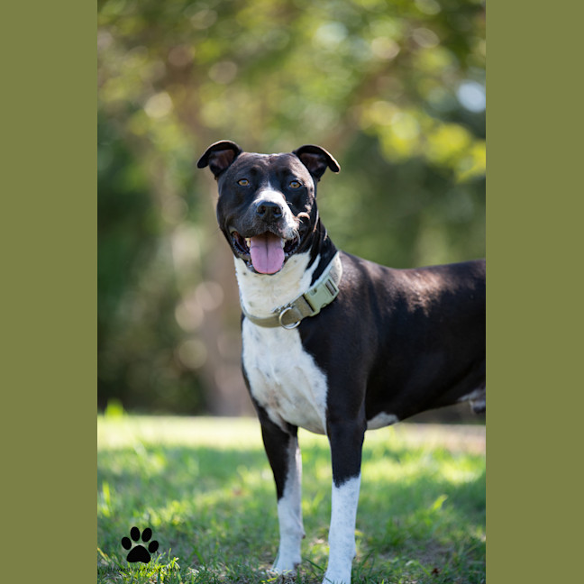 Photo of Tyson