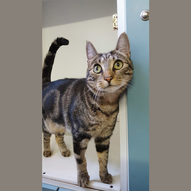Photo of Ranger