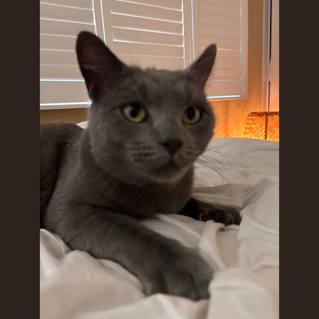 Photo of Paulie