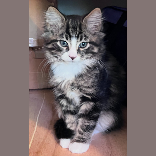 Photo of Jasper