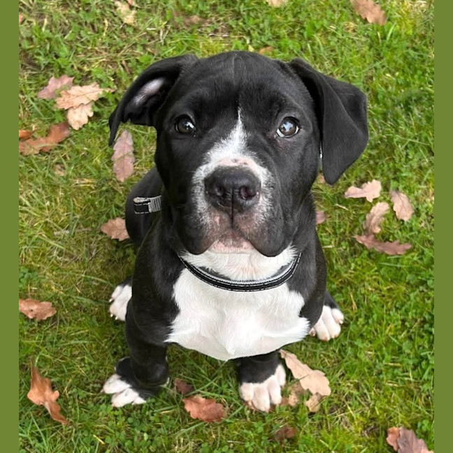 Photo of Bruce