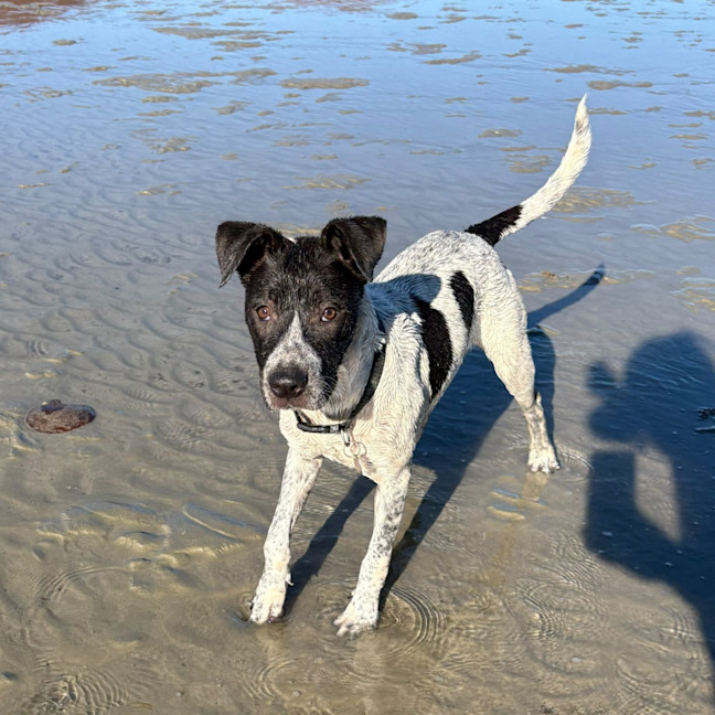 Photo of Lyka
