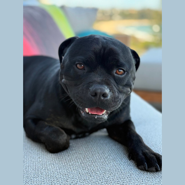 Photo of Reggie
